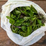 Mesclun - roquette- moutarde japonaise- mâche