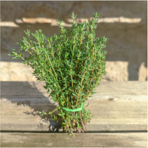 herbes aromatiques thym agriculture biologique - la ferme des plaines