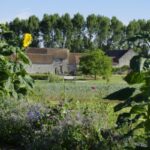 Mot du jardinier juin 2025- La ferme des Plaines