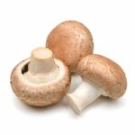 champignon de paris